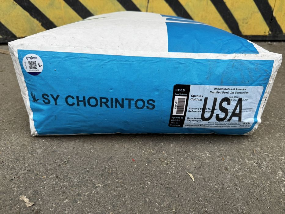 Насіння кукурудзи Сінгента Сі Чорінтос|Syngenta SY CHORINTOS