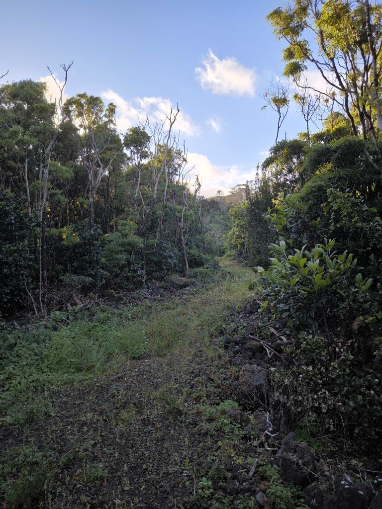 Terreno para venda