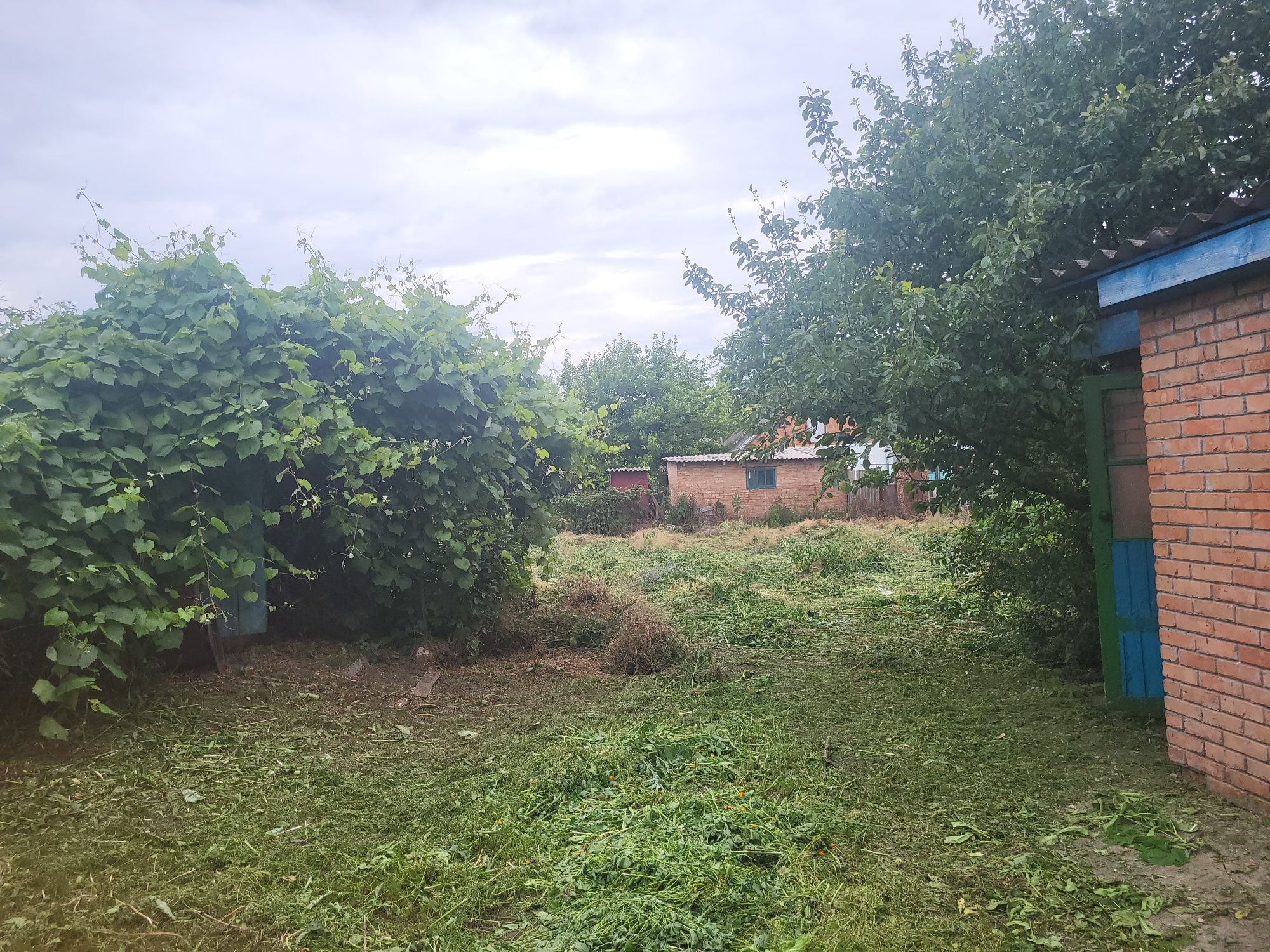 Продам будинок с.Гаркушинці