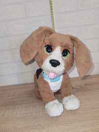 FurReal Interaktywny Piesek Beagle Charlie Has