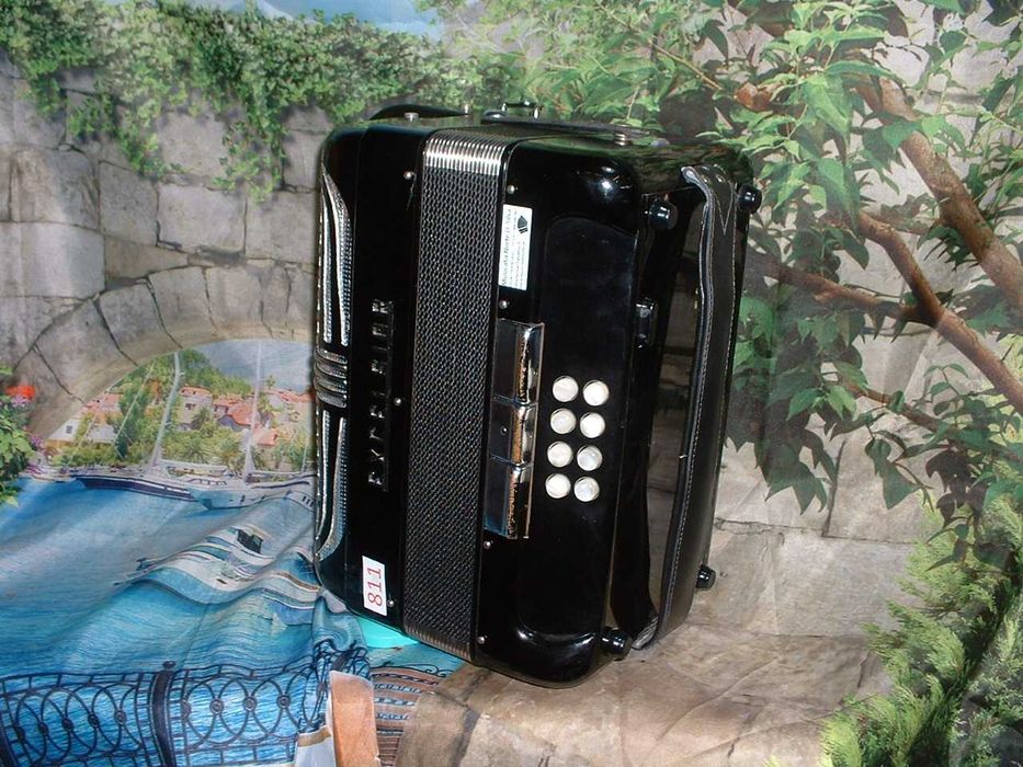 Concertinas a venda N.811