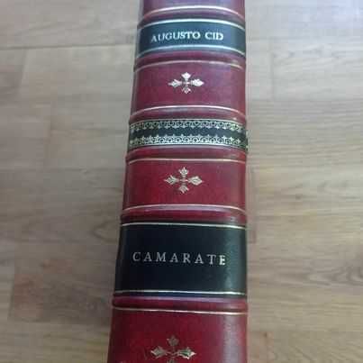 vendo livro camarate