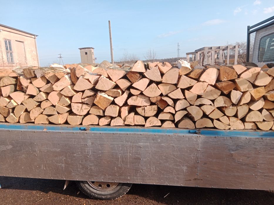 Drewno bukowe kominkowe