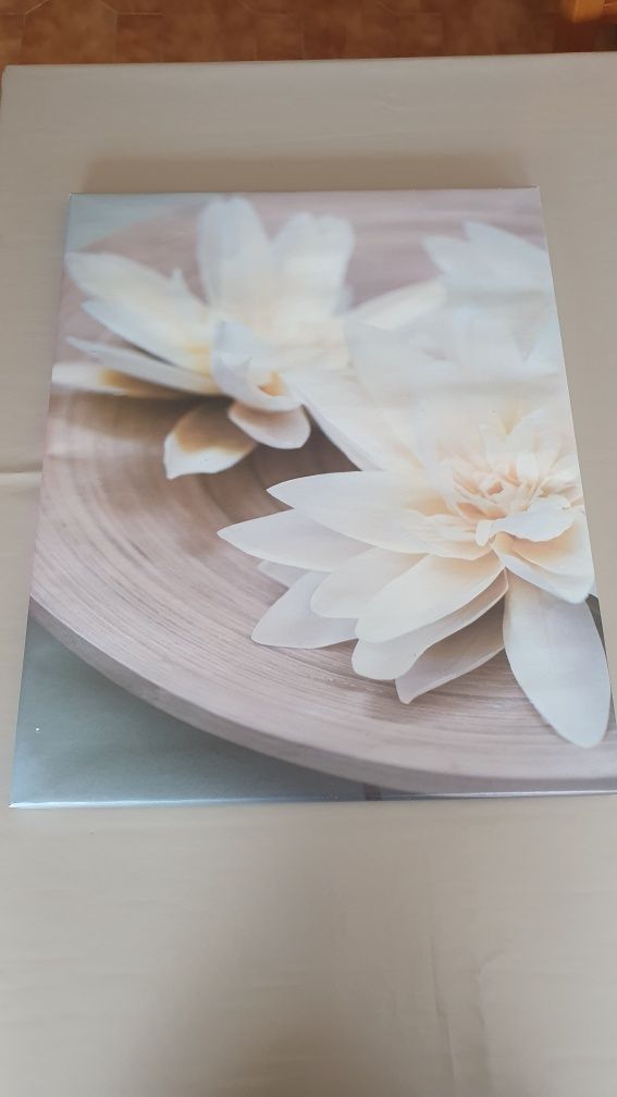 Quadros variados