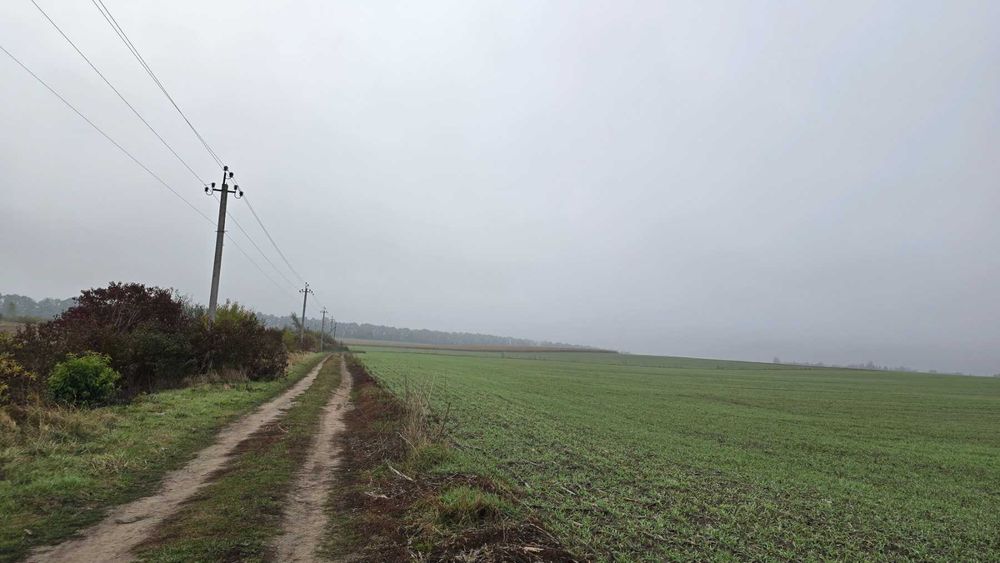 Продам ділянку в  селі Лаврівка 9052