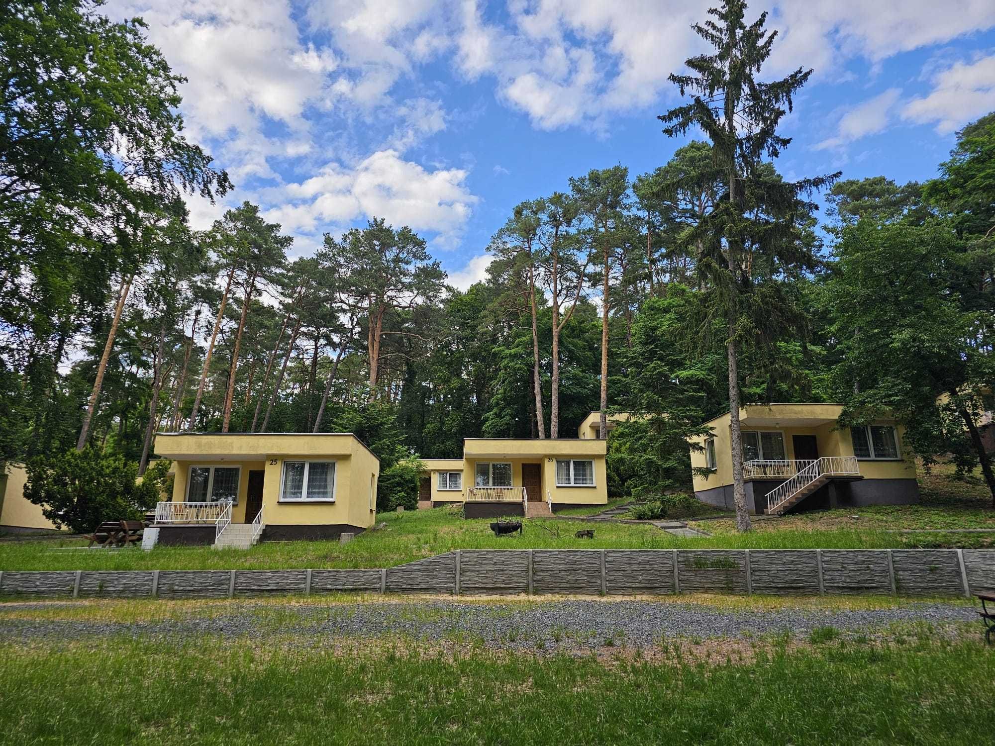 Domki letniskowe LubSol Lubniewice Perła Ziemi Lubuskiej