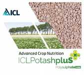 Alfa Potas, sól potasowa, Potashplus, Potas z mikroelementami 15 kg