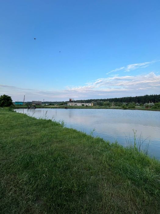 Продаж рибного господарства 504га в с. Куцеволівка