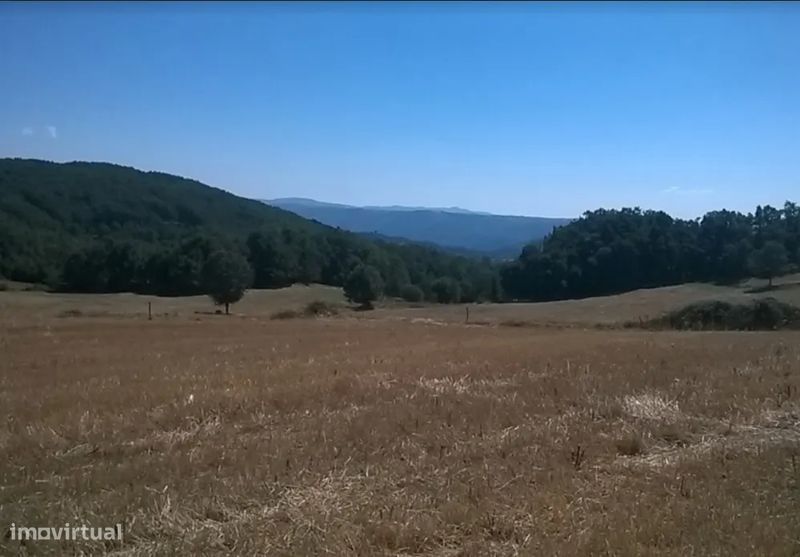 Terreno, Bragança, Vinhais