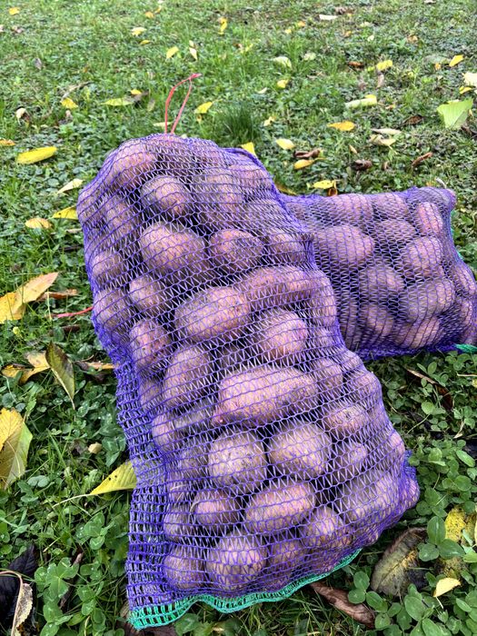 Картопля (з доставкою)