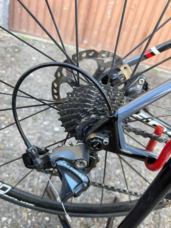 Bicicleta Focus Cayo