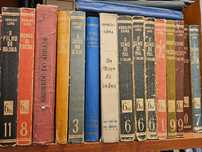 Coleção Arnaldo Gama (14 livros)