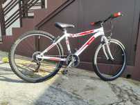 Bicicleta Team de BTT