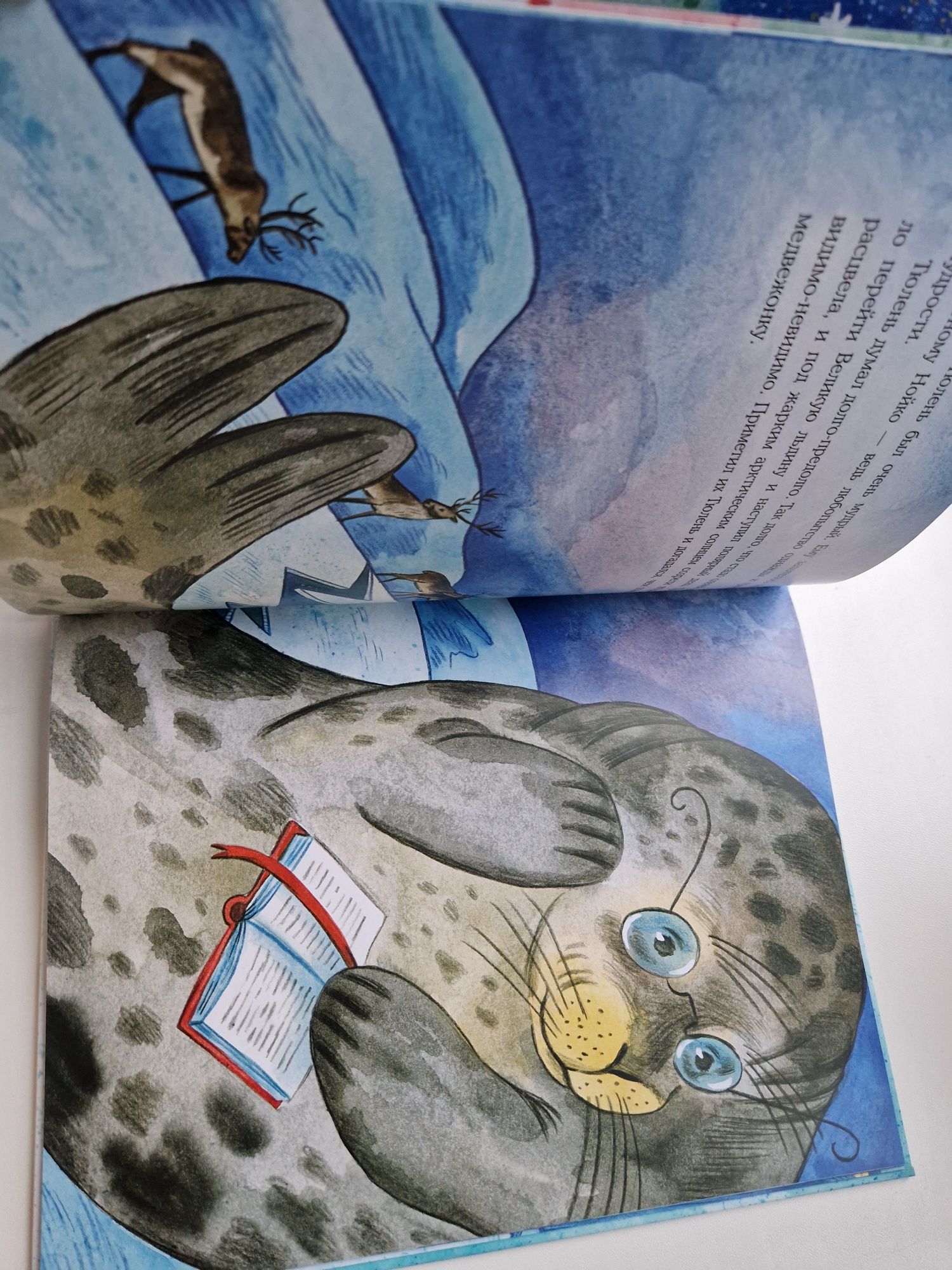 Как Нойко северный полюс разукрасил Песочинска детская книга Новый год