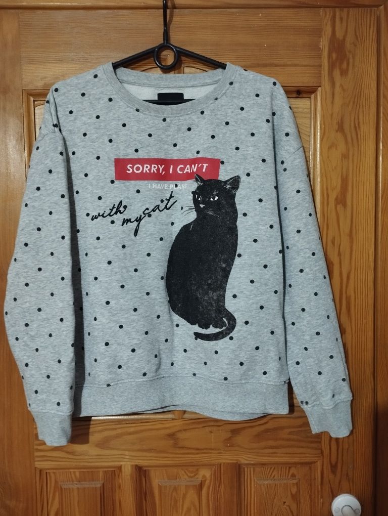 Bluza z kotem szara