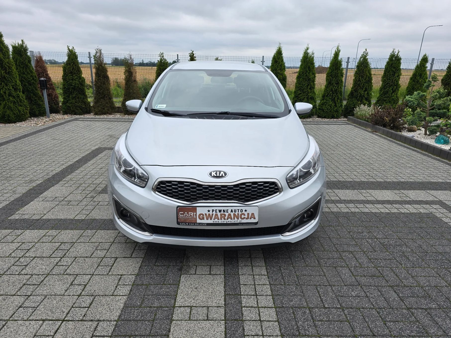 Kia Ceed Krajowy