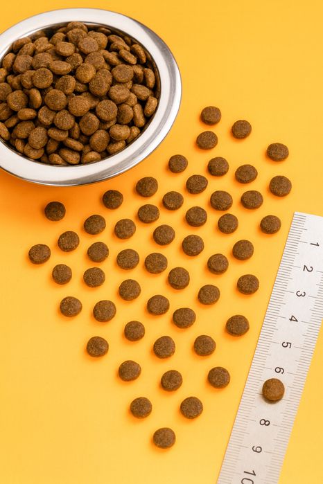 Сухий корм (преміум) для собак малих порід з індичкою (монобілковий)