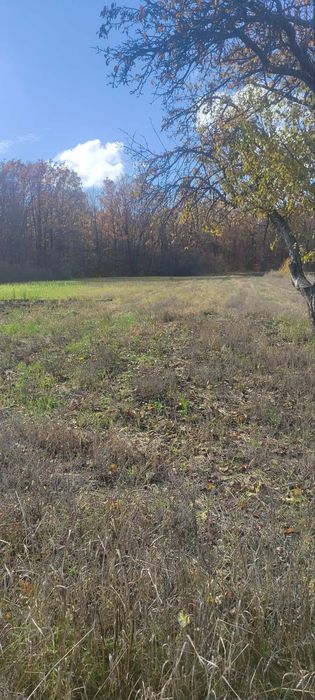 Будинок в селі Івашки Полтавського району.