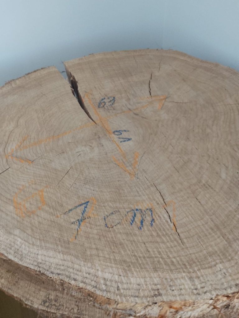 Duży plaster drewna dębowego