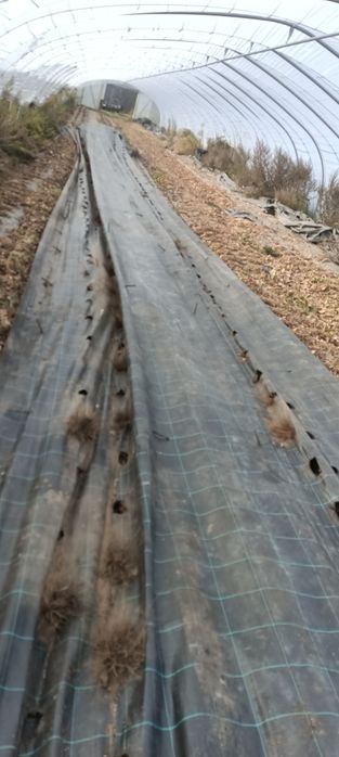 Agrotkanina 3.2m używana