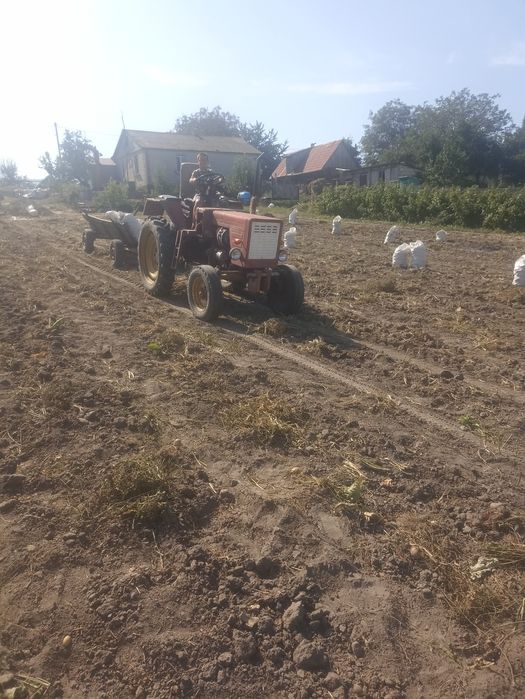 Продам тракторт 25