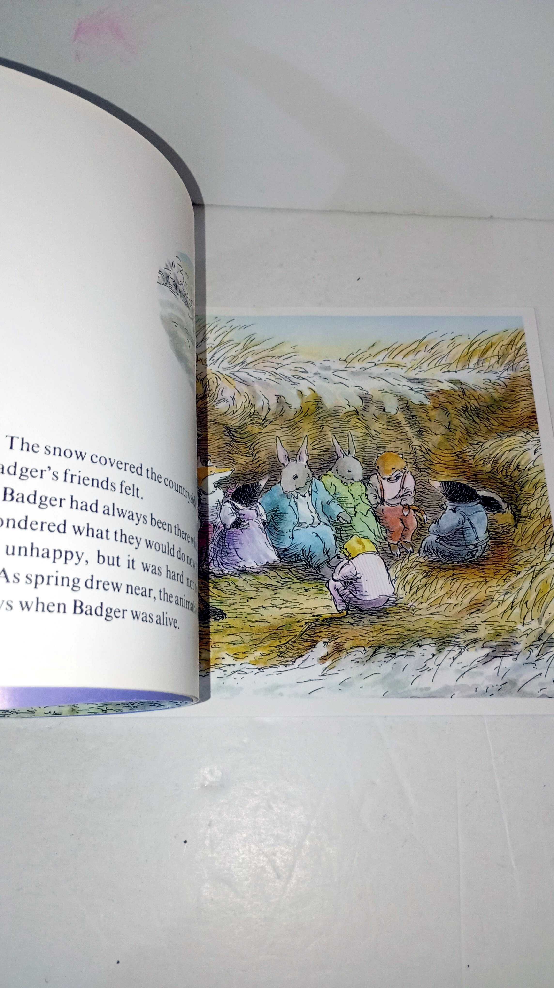 Badger's Parting Gifts - livro em Inglês
