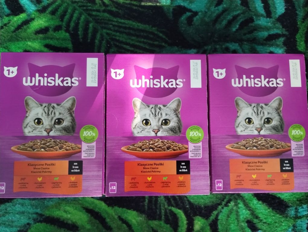 Karma mokra dla kota 1+ Whiskas (63 szt) + gratis Winston (2 szt)