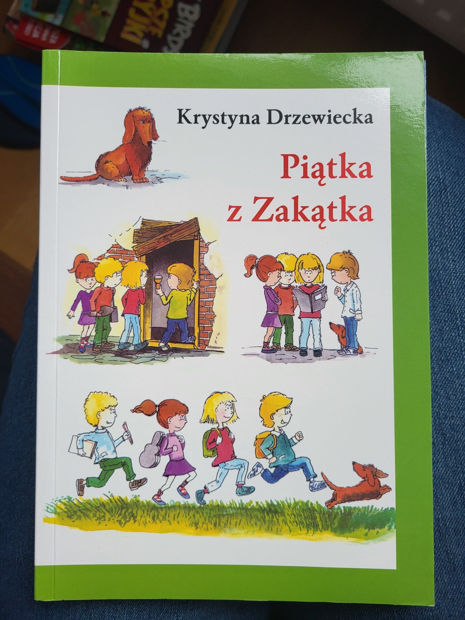 Zestaw 2 ksiazek
Banda z Uroczyska, Piątka z zakątka Krystyna Drzewiec