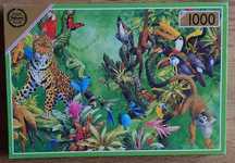 Falcon 1000 - Kingdom The Jungle