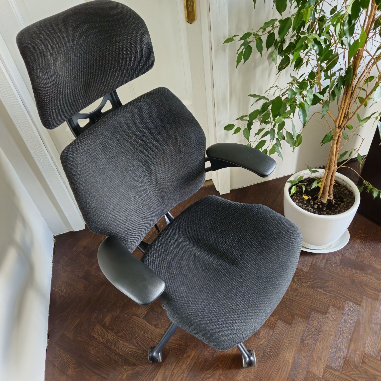 Humanscale freedom