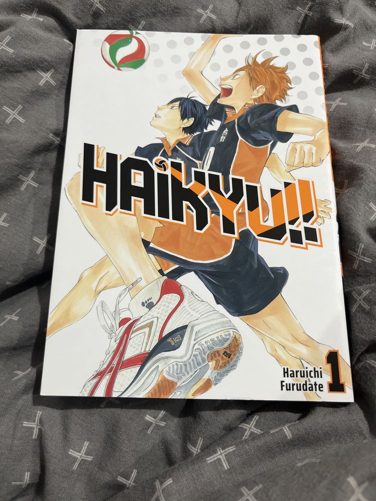Manga Haikuu!! Tom 1