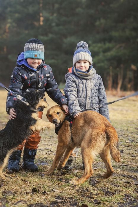 Tokyo energiczna łagodna suczka młoda szuka domu