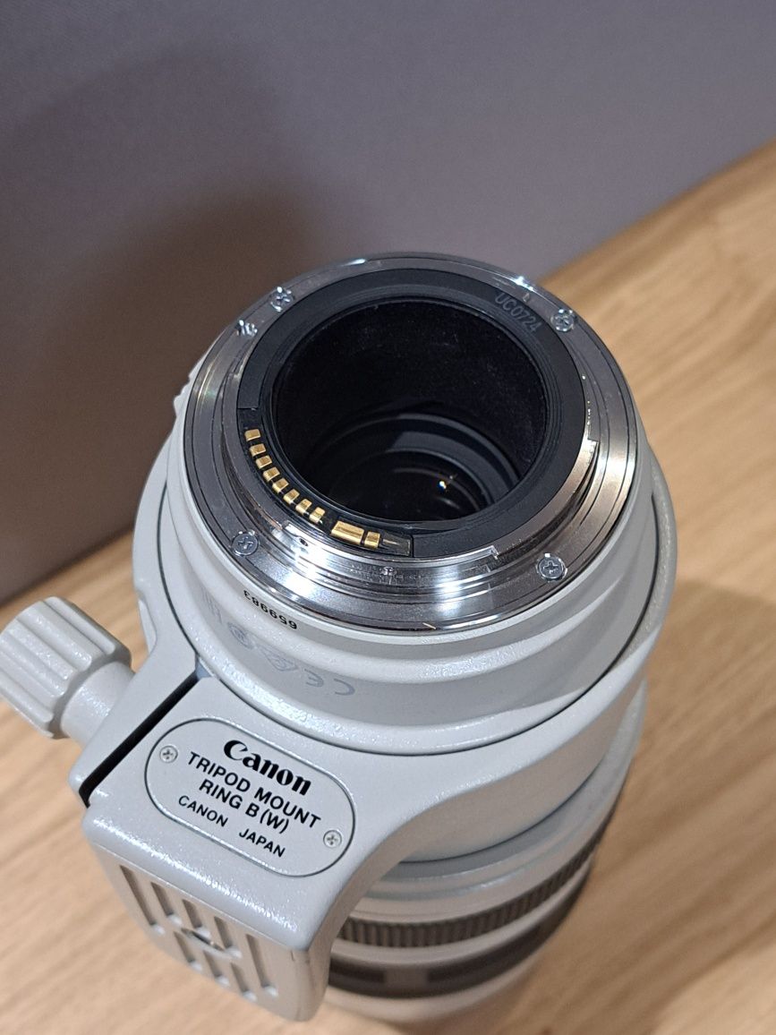 Canon EF 100-400 mm f/4.5-5.6 L IS USM