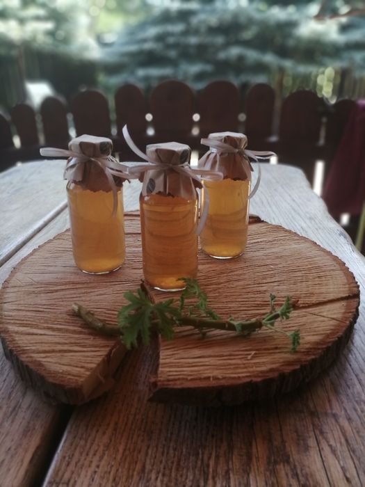 Syrop anginka (geranium)