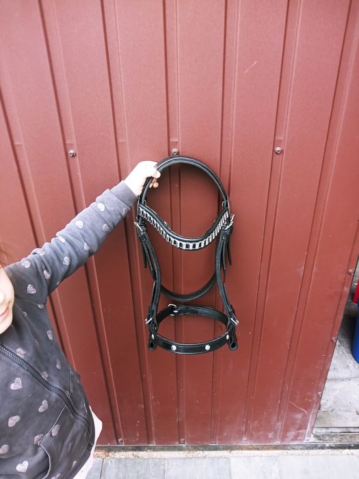 Uzda ogłowie kantar na konia