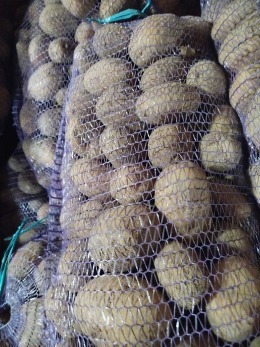 Картопля Мелоді і Балті Роуз є доставка