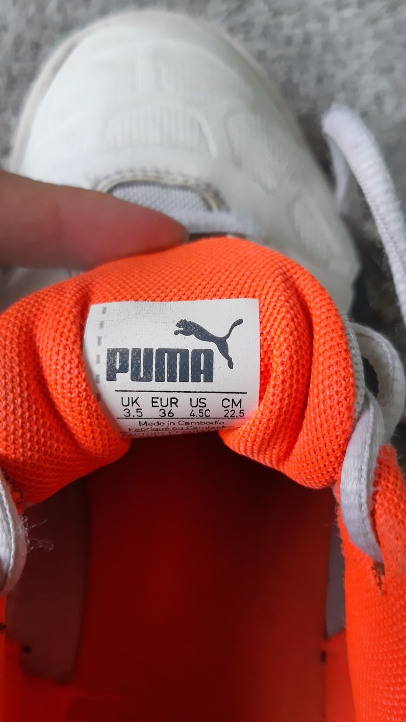 Buty halowe Puma Tenaz halówki rozmiar 36