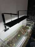 Chihiros wrgb 60 slim com suporte