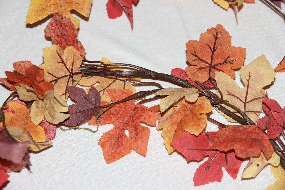 Gałazka jesiennego klonu