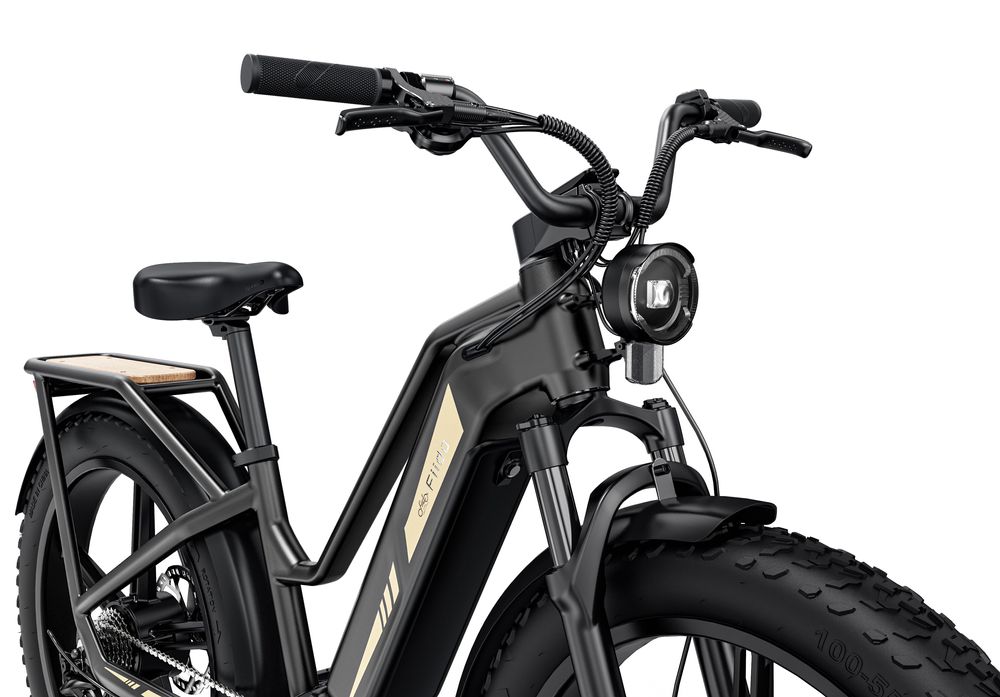 Bicicleta Elétrica Fiido Titan Novidade!!!