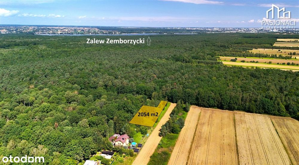 Działka budowlana w otulinie Lasu Dąbrowa - Ćmiłów