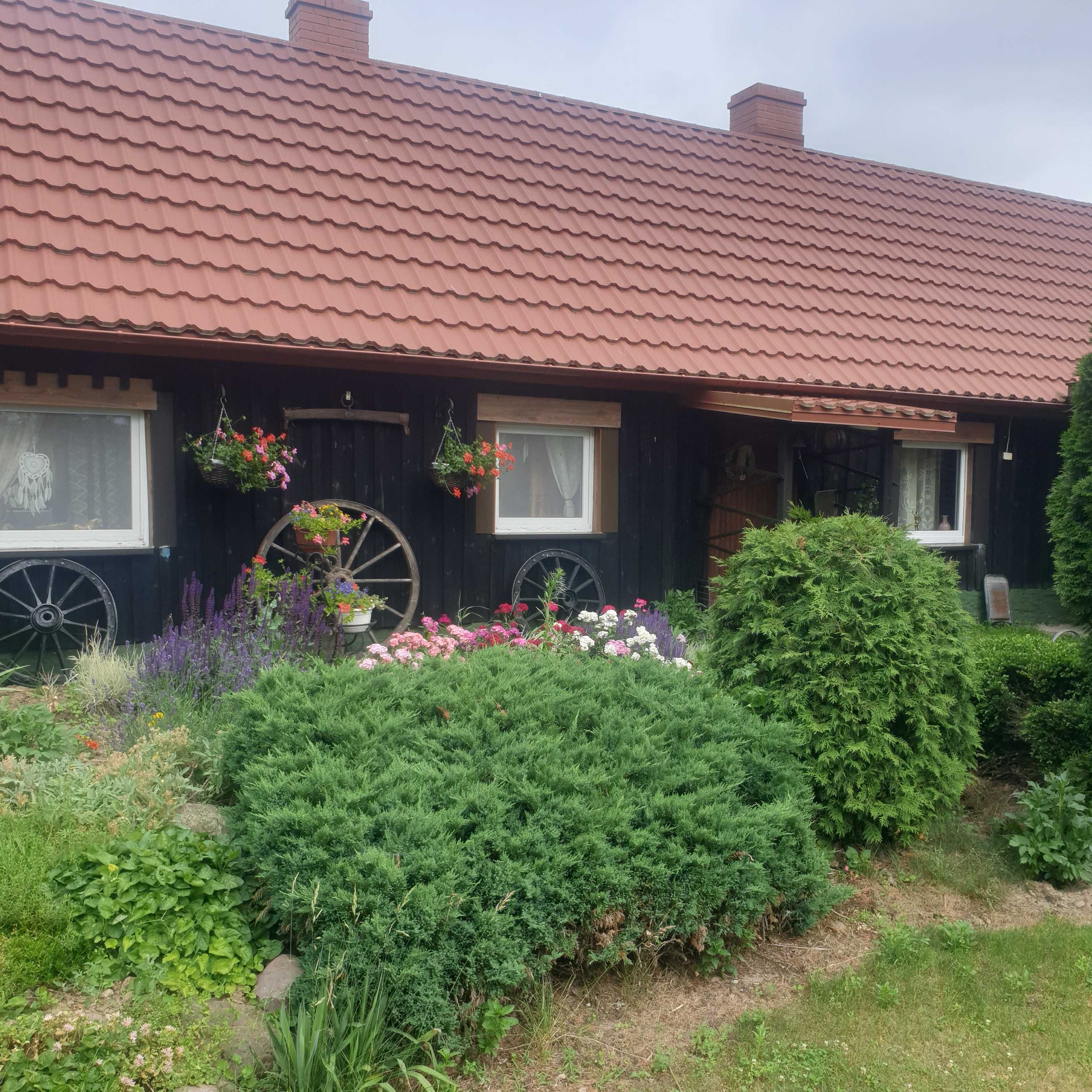 Wynajmę dom nad jeziorem Wymysłowo