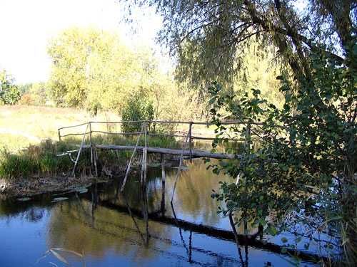 Продам участок 12соток Большая Даниловка  лес  река рядом Дубровский