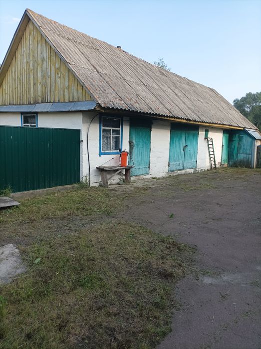 Продається будинок в селі Злобичі Коростенського району