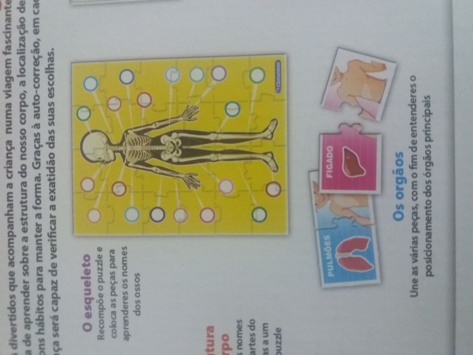 Jogo tabuleiro Winx Believix + Jogo Corpo Humano