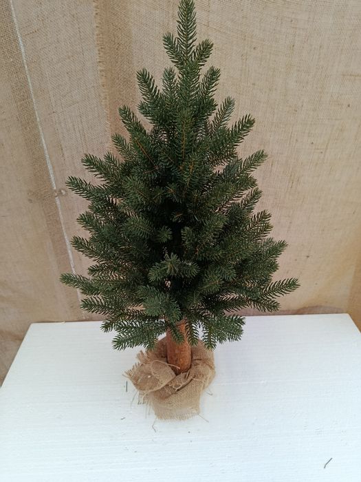 Choinka na pniu PREMIUM PE 80