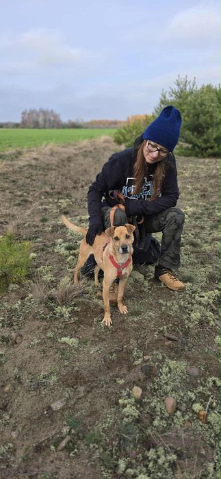 Malutki Kuśko ,szuka domu.