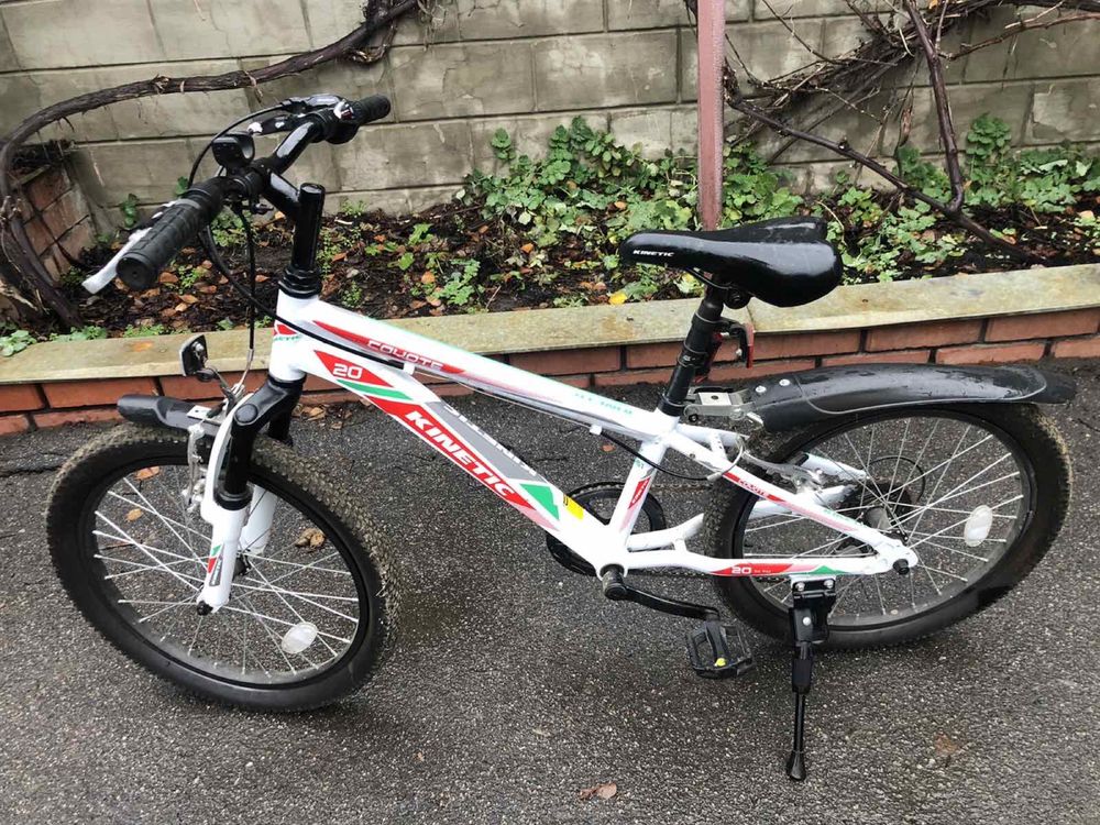Kinetic Coyote  20