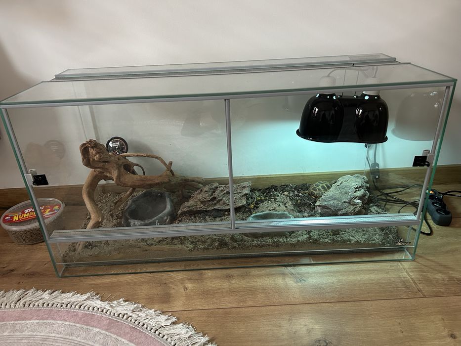 Terrarium dla żółwia