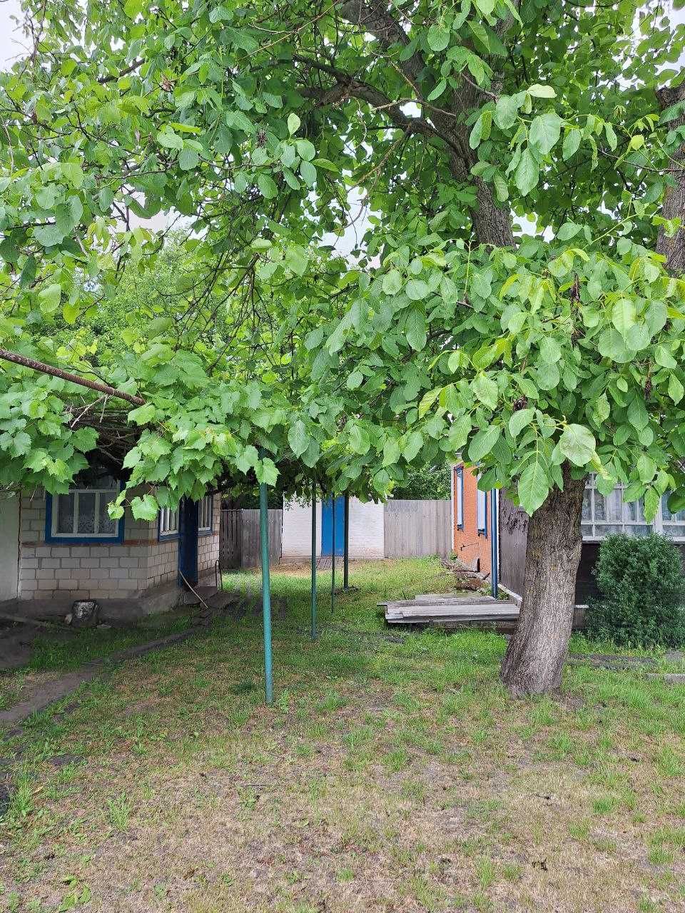Продам будинок у селі Великі Сорочинці